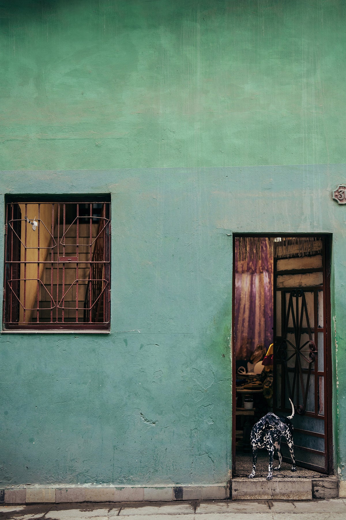 Art print of green facade on house in Cuba with a black and white dog at the open door.